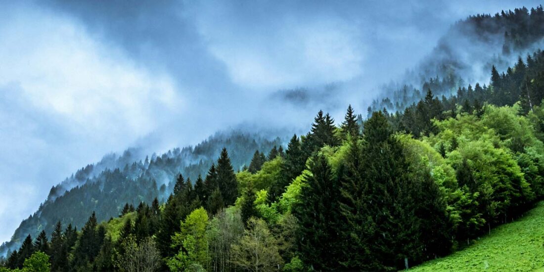 Humanities at the Helm: Mobilising Scholars to Confront the Planetary Climate Crisis